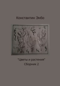 Цветы и растения. Сборник 2