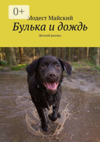 Булька и дождь. Невыдуманные истории