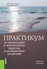 Практикум по организации и менеджменту туризма и гостиничного хозяйства. (Аспирантура, Бакалавриат, Магистратура). Учебное пособие.