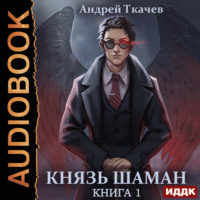 Князь шаман. Книга 1