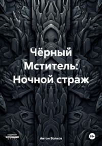 Чёрный Мститель: Ночной страж