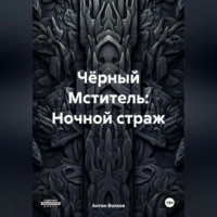 Чёрный Мститель: Ночной страж