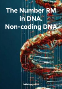 The Number RM in DNA. Non-coding DNA