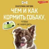 Чем и как кормить собаку, чтобы не навредить