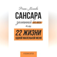 Сансара загнанной белки, или 22 жизни одной маленькой меня