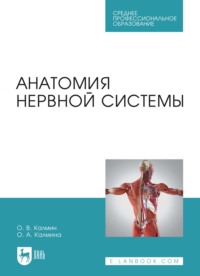 Анатомия нервной системы. Учебное пособие для СПО