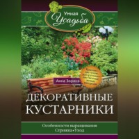 Декоративные кустарники