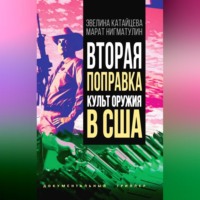 Вторая поправка. Культ оружия в США