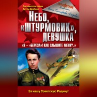 Небо, «штурмовик», девушка. «Я – „Береза!“ Как слышите меня?..