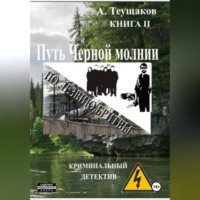 Путь Черной молнии 2