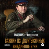 Важняк из двухтысячных. Внедрение в ЧК