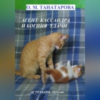 Агент Кассандра и Богиня Удачи