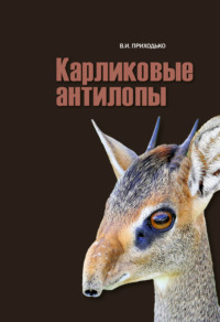 Карликовые антилопы (Neotragini)