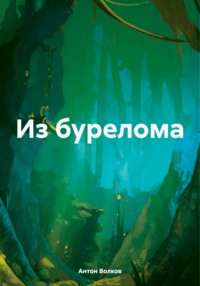 Из бурелома