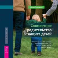 Совместное родительство и защита детей: руководство по теории привязанности для воспитания детей на два дома