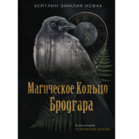 Магическое Кольцо Бродгара. Часть 2. Потерянная Любовь