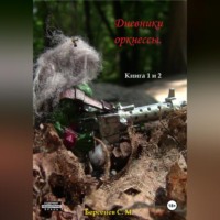 Дневники оркнессы. Книга 1 и 2. Наконец-то Война!