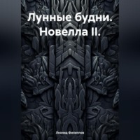 Лунные будни. Новелла II.