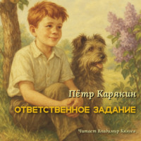 Ответственное задание
