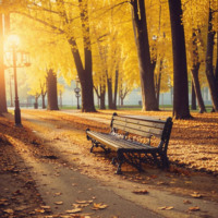 Во имя жизни