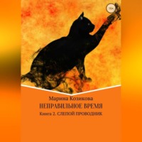 Неправильное время. Книга 2. Слепой проводник