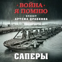 Саперы