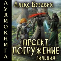 Проект «Погружение». Том 7. Гильдия