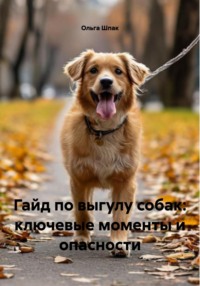 Гайд по выгулу собак: ключевые моменты и опасности