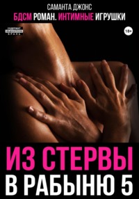 БДСМ роман. Интимные игрушки. Из стервы в рабыню 5
