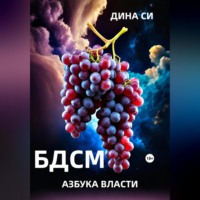 БДСМ. Азбука власти