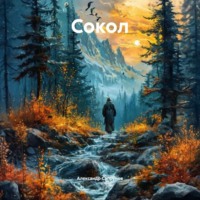 Сокол