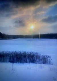 Измайловский петроглиф или тайна Измайловского леса