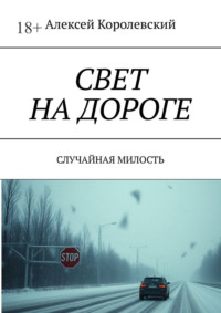 Свет на дороге. Случайная милость