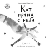 Кот прямо с неба