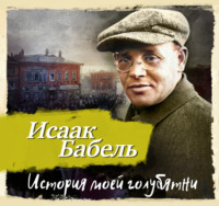 История моей голубятни