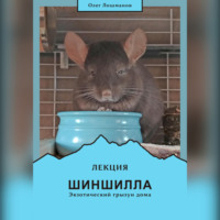 Лекция «Шиншилла – экзотический грызун дома»
