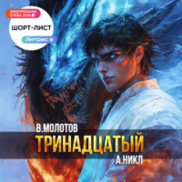 Тринадцатый. Том XI