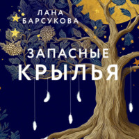 Запасные крылья
