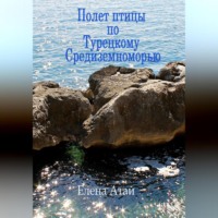 Полет птицы по Турецкому Средиземноморью