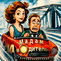 Мадам и водитель