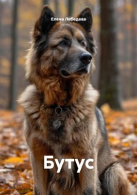 Бутус