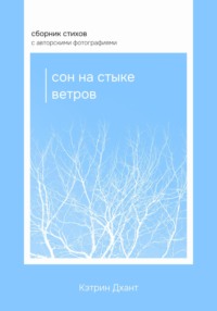 Сон на стыке ветров