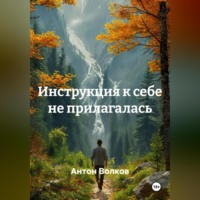 Инструкция к себе не прилагалась