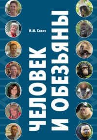 Человек и обезьяны