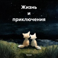 Жизнь и приключения