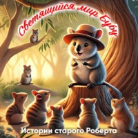 Светящийся мир Бубу. Истории старого Роберта