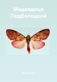 Медведица Подболоцкой
