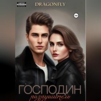 Господин Разрушитель