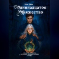 Одиннадцатое княжество