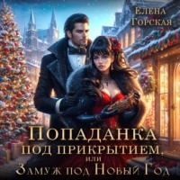 Попаданка под прикрытием, или Замуж под Новый год